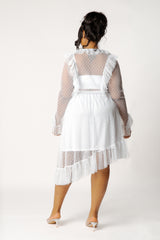 Asymmetrical Polka Dot Mesh Ruffle Dress